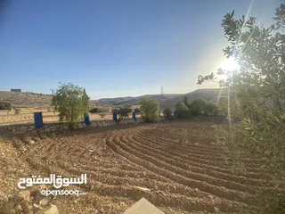  12 فرصة استثمارية لا تعوض ارض 14 دونم مع ملعب قدم خماسي باعلى المواصفات ، مرافق وصاله كبيره وتراس خارجي