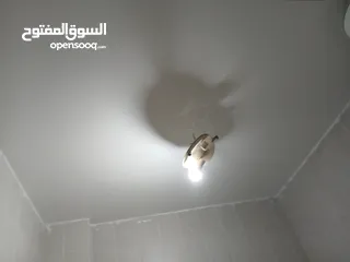  29 كافه عمال الدهانات وديكورات عزل رطوبه الون  رش حبيبات رش حديد رش بواب دقه بل عمل تسليم هندسه  الموعد
