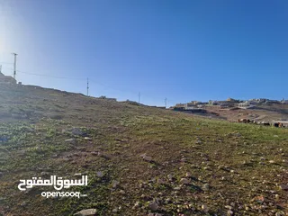  8 المغيرات ارض 500م حوض مريزقه تبعد 3500م عن شارع الحزام بسعر مغري