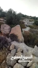  6 فرصة استثمارية مميزة – أرض للبيع مباشرة من المالك