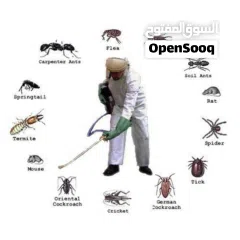  6 البيت الآمن لمكافحة الحشرات