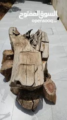  6 طاوله على شكل جذع شجره مع 6 كراسي ماكنة قص العشب