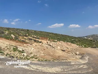  14 قطعة ارض للبيع ( منطقة فلل وقصور )واصل جميع الخدمات ( على قمة بيرين )