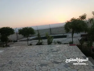  21 مزرعه شالية في منطقه سويمة قرب بحر الميت