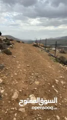  4 ارض مميزه للبيع في منطقة النصاريه  تصلح لبناء شليه سباحي