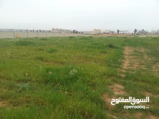  5 ارض للبيع في اجمل مناطق الرجم الشامي في سحاب
