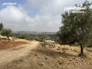 1 (1)ارض للبيع في بدر الجديدة السويسة مساحة الأرض 4500 م