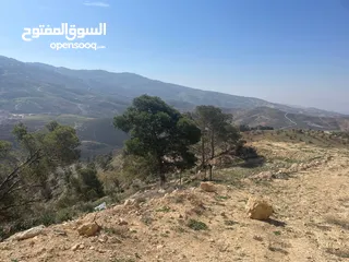  17 ارض للبيع / الصبيحي 18 دونم تقع على شارع رئيسي ‏بإطلالة مميزة وجميلة ويوجد بجانبها مطعم