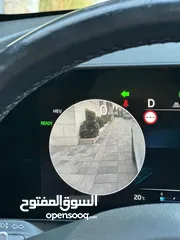  17 كيا سبورتج بلج ان 2022 GT LINE