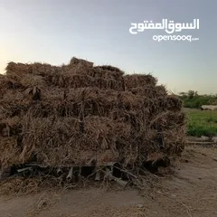  3 برايد حشيش للبيع