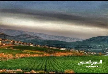  1 فرصتك الان للاستثمار في طلوزة قرب شلالات الباذان ارض كوشان مستقل صادر عن سلطة الاراضي  ,,,, تصنيف A
