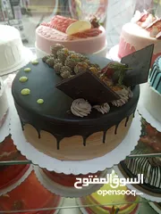  8 دب حجم كبير