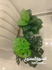  4 نبات صناعي متل الطبيعي جديد قطعة ويوجد توصيل