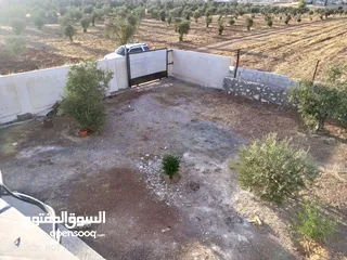  5 بيت مفروش للاجار اليومي او الاسبوعي او الشهري