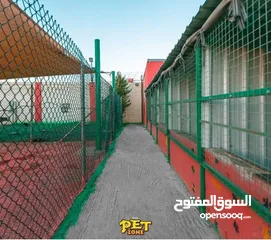  2 فندق ومركز تدريب للكلاب