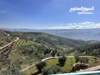  17 مزرعة مميزة في جرش مع بيت طابقين بسعر مميز للبيع