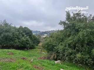  6 ارض مميزه للبيع في منطقة فحيص أم رجم 2350 باطلاله عاليه