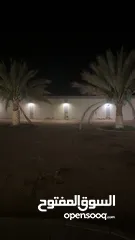  17 مزرعه جاهزة للبيع السعر نهائي