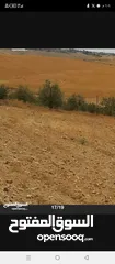  27 ارض زراعية للبيع  .. قطعه زراعية .   محافظة مادبا . ذيبان . مليح . حوض العلاقي . مساحة اربع دنمات