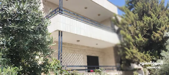  11 فيلا طابقين وروف