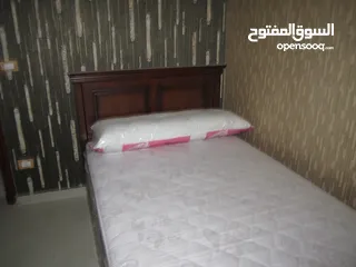  8 شقة في الاسكندرية العجمي الهانوفيل