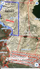  3 ارض للبيع 13.5دنم في الغور الكتار منطقة الشونة الجنوبية سعر المتر0.51قرش