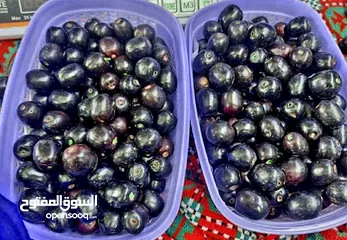  1 jamun available