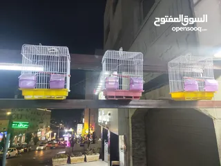  1 قفص طييور مفرد تابع الوصف و شوف السسسسسسعر الصدمة