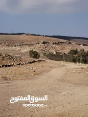  2 5 دنمات 300 متر عن شارع جرش عمان