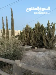  6 مزرعه للبيع مساحتها دلم