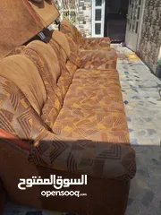  4 تخم قنفات نظيف