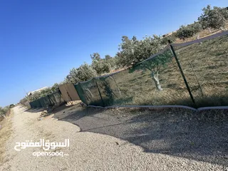  7 ارض زراعيه مجهزه بل كامل تبعد عن شارع المطار 6 كيلو تبعد عن وسط مادبا4ك