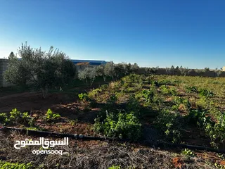  9 مزرعه للبيع هكتارين في بوهادي