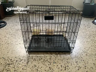  1 قفص ببغاء أو قطه