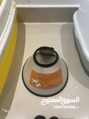  3 اغراض قطط لبيع