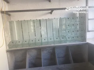  1 ستاندات بزر وبهارات لاصحاب السوبر ماركت والمحامص