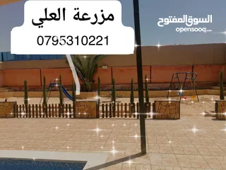  13 مزرعة و شالية للبيع