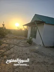  6 مزرعه للبيع من المالك مباشرة ضمن اراضي جنوب عمان "ام الرصاص، قرية رجم عقاب"
