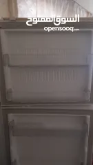  4 اربد البارحه