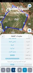  1 للبيع قطعة أرض 8 دونم السلط شارع 60 قرب مسجد الرابح