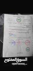  3 سكودا أوكتافيا ترخيص 2018  ديزل أوتومات البيع كاش فقط سبب البيع: الدراسة خارج الوطن