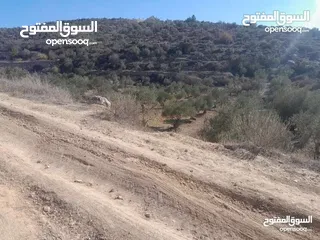  2 ارض للبيع في صوريف خلة ابو سليمان