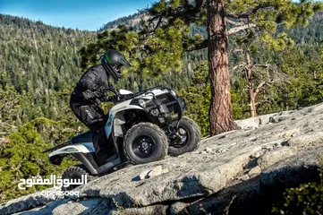  11 Kawasaki BRUTE FORCE 300
