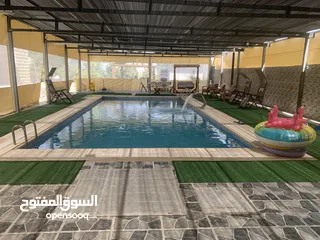  9 فلل نوفل للإيجار.  أريحا