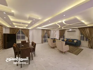  1 شقة مفروشة للايجار بمدينة نصر بين عباس العقاد ومكرم عبيد