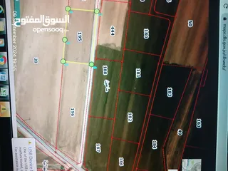  5 قطعة أرض زراعيه مساحة اربعة دونمات للبيع  في مادبا طول الواجهه على الشارع المزفت 87m بسعر مغري