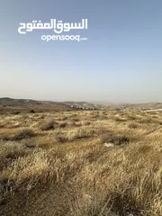  2 فُرصة العُمر لبناء منزل الأحلام ( منطقة بيرين حوض الحبل ) الإطلالة الأجمل في بيرين منطقة (قصور وفلل)