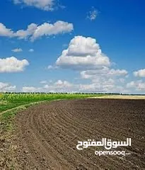  1 قطعة (95) متر الجبيلة قرب مدارس خطواتي