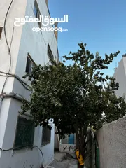  1 بيت مستقل مكون من شقق