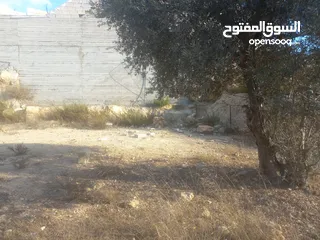  3 أرض للبيع للبناء مساحة 670 متر مربع مرتفعة ومطلة وقريبة من جامعة بير زيت